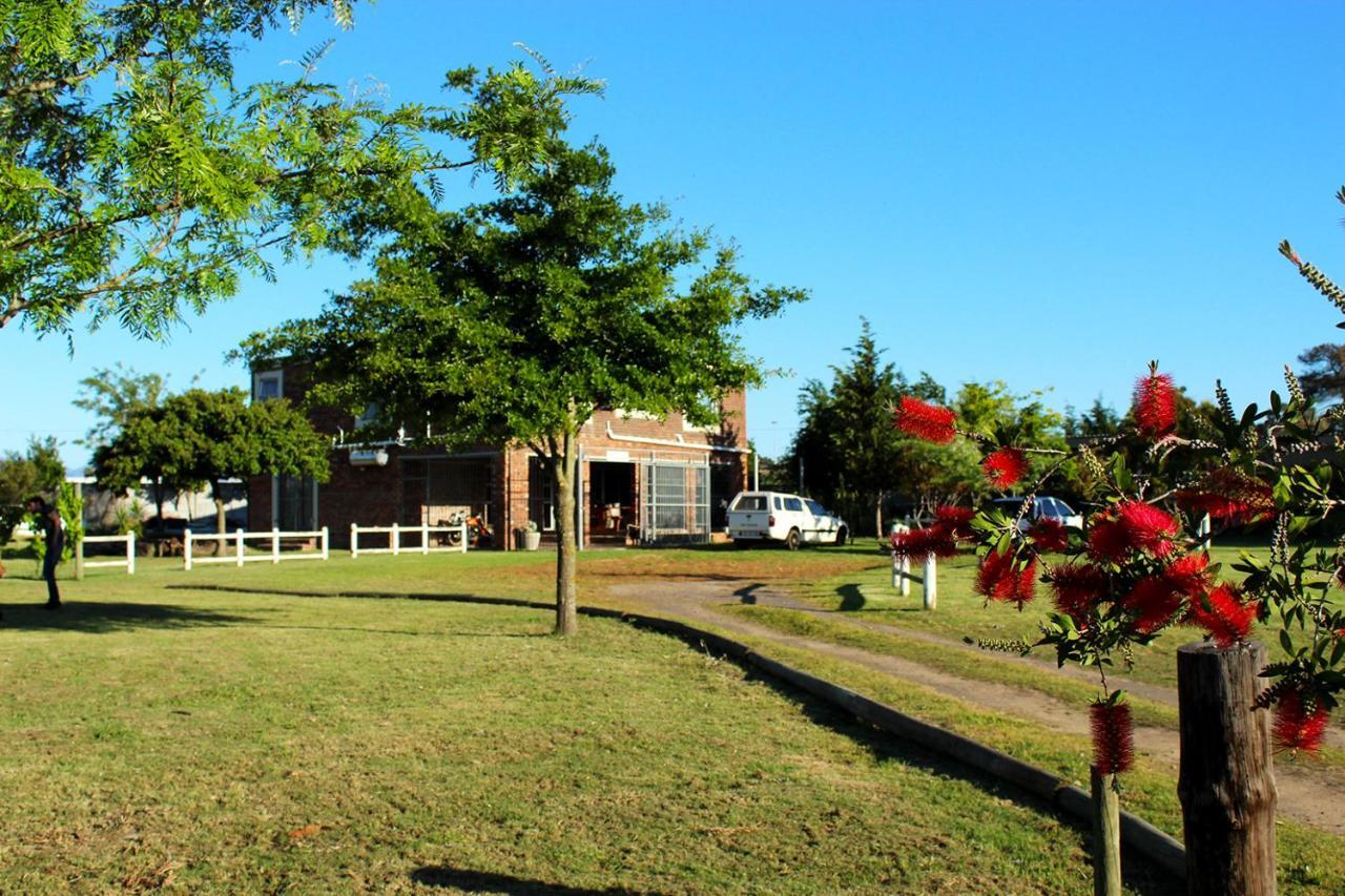 African Adventures Accommodation دوربانفيل المظهر الخارجي الصورة